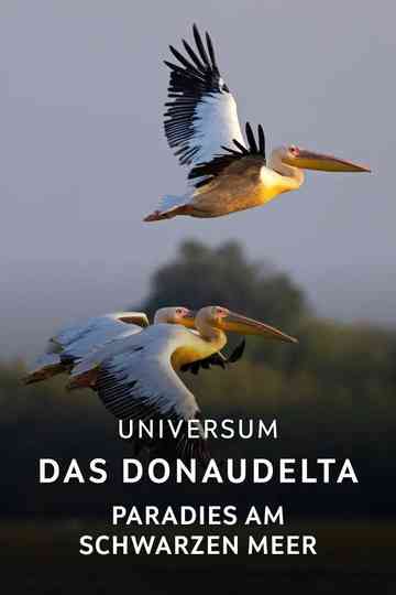 Das Donaudelta - Paradies am Schwarzen Meer Poster