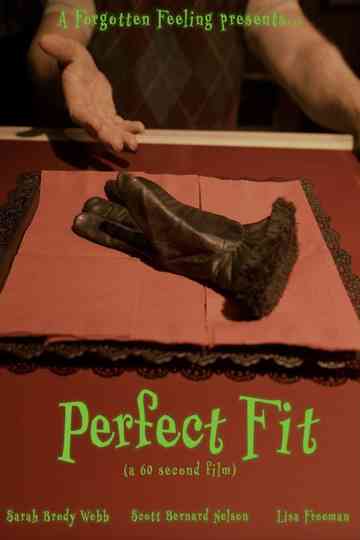 Perfect Fit Poster