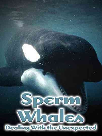 Sperm Whales: Dealing with the Unexpected Poster