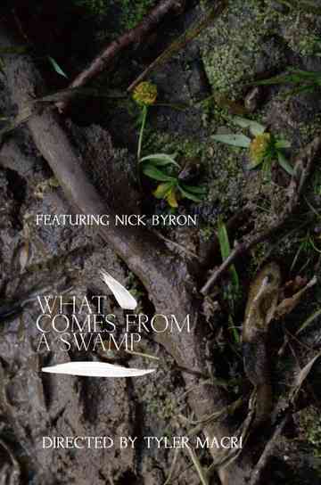 What Comes from a Swamp Poster