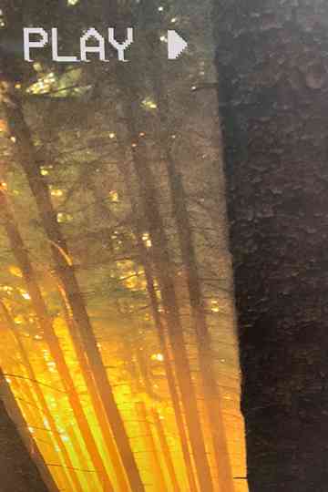 In The Forest Poster