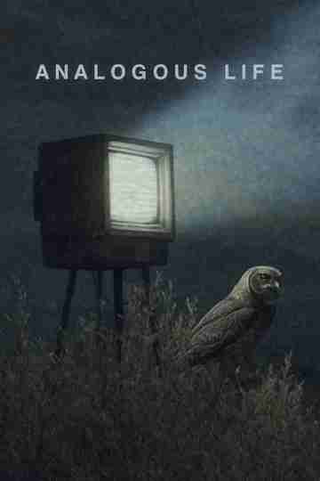 Analogous Life Poster