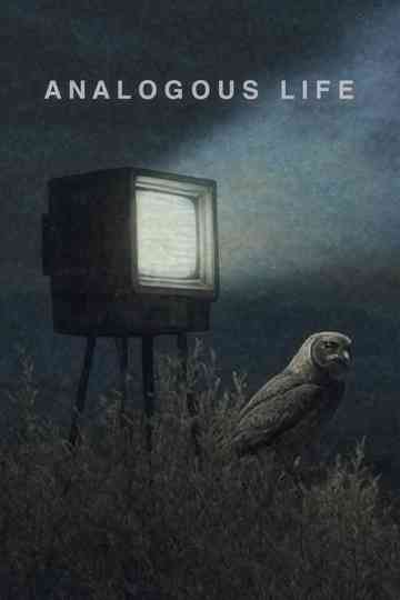 Analogous Life Poster