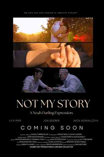 Not My Story Poster