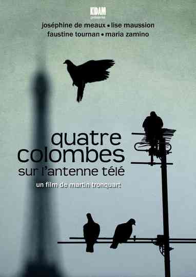 Quatre colombes sur l'antenne télé Poster