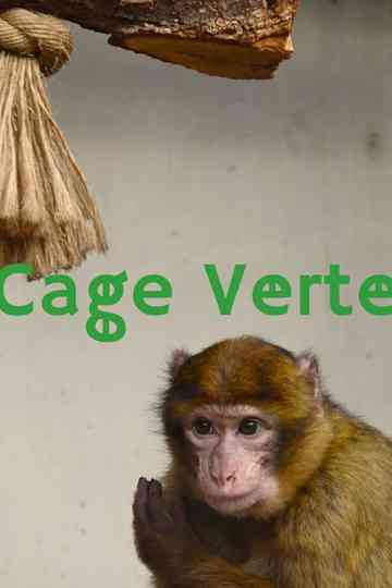 Cage Verte Poster
