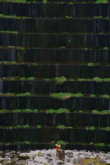 Murderers Bar Poster