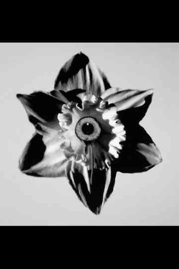 Das ist das Leben Poster