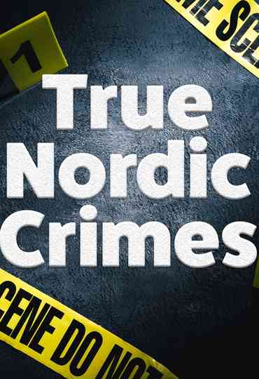 True Nordic Crimes Poster