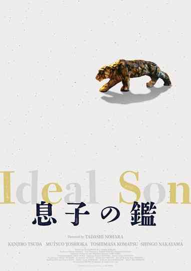 Ideal Son Poster