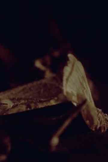 The Hemispheres Poster