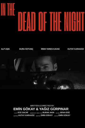 In the Dead of the Night Poster