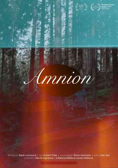 Amnion Poster