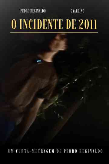O INCIDENTE DE 2011 Poster