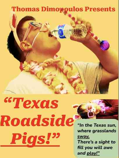 Texas Roadside Pigs! Poster