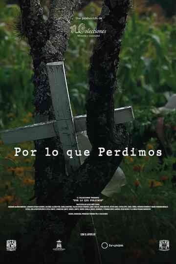 Por lo que Perdimos Poster