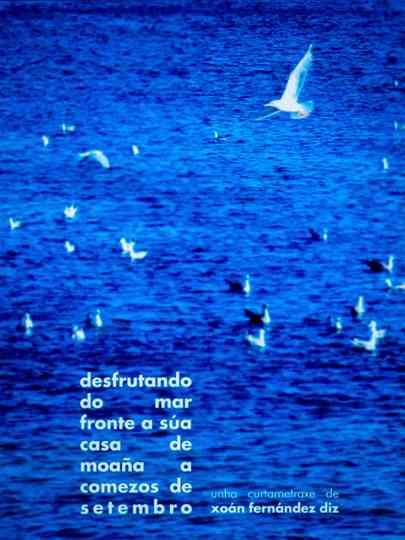 desfrutando do mar fronte a súa casa de moaña a comezos de setembro Poster