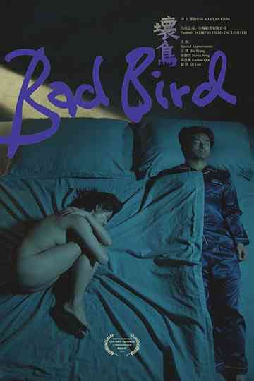 Bad Bird Poster