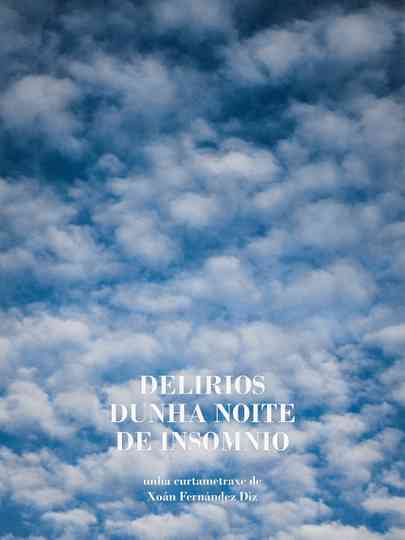 Delirios dunha noite de insomnio Poster