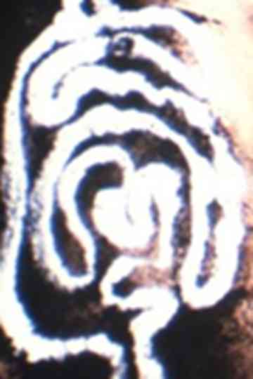 fungus eroticus Poster