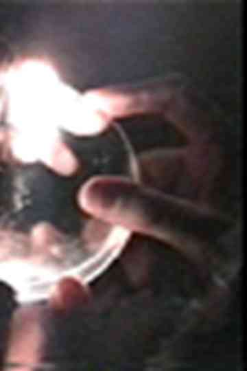 Subverted Horseplay Poster