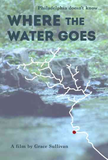 Where the Water Goes Poster