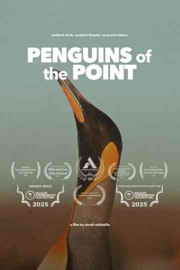 Penguins of the Point Poster