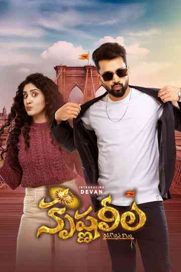 Krishna Leela Poster