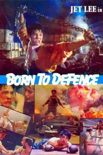 Born to Defence Poster