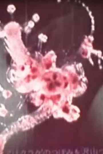 Deliquescence Poster