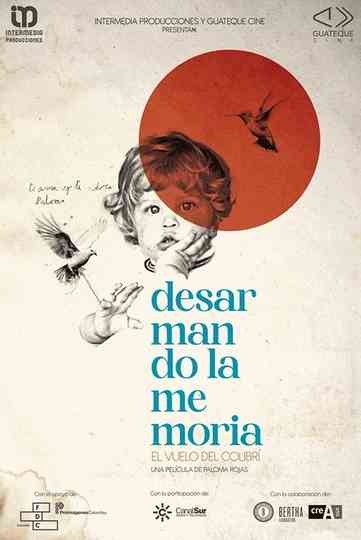 Desarmando la Memoria : El Vuelo del Colibrí Poster