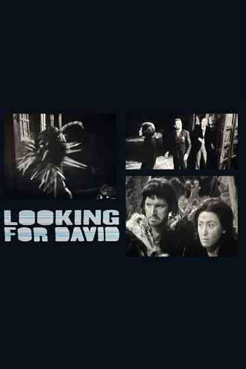 Looking for David Poster