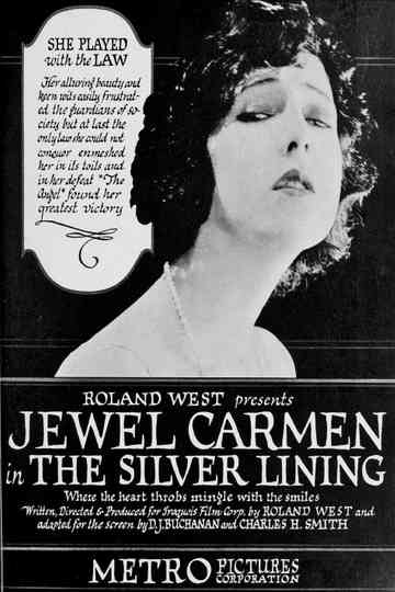 The Silver Lining Poster