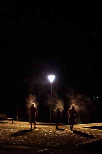 Die Saunagänger vom Attersee Poster