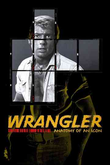 Wrangler Anatomy of an Icon Poster