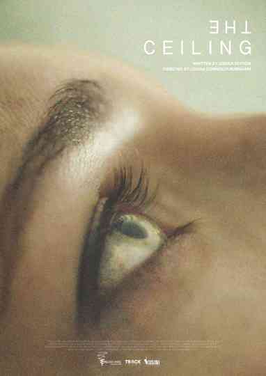 The Ceiling Poster