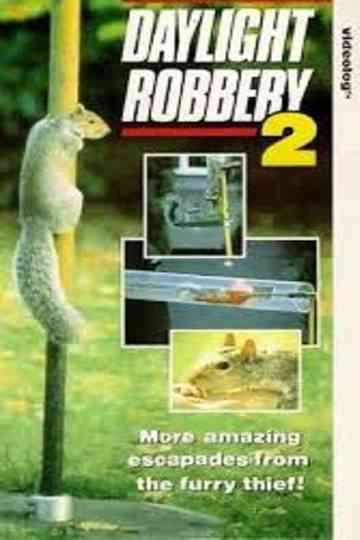 Daylight Robbery 2 Poster