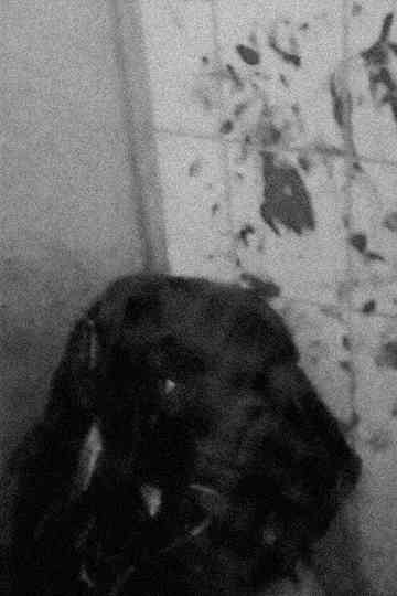 Last Confession Poster