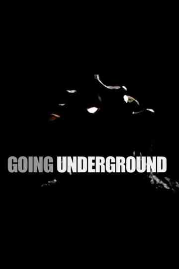 Going Underground Poster