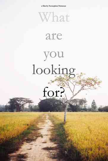 What are you looking for? Poster