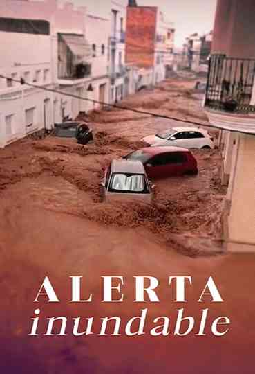 Alerta inundable Poster
