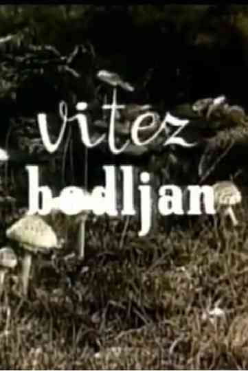 Spikey Knight Poster