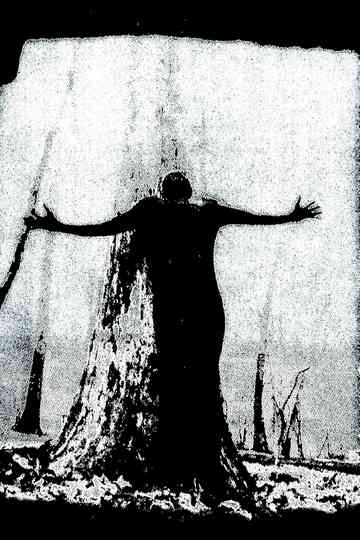 IIsandra In Ruin Poster