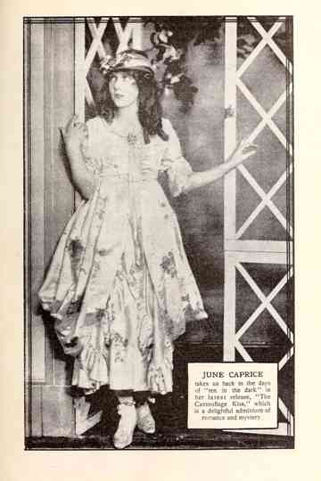 A Camouflage Kiss Poster