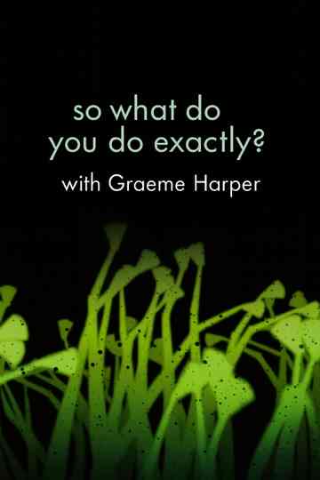 So What Do You Do Exactly? Poster