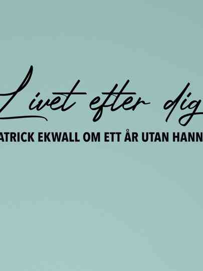 Patrick Ekwall: Om ett år utan Hannah Poster