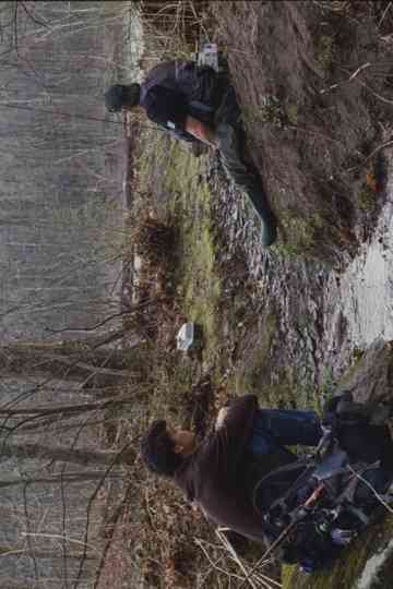 Classic Water Poster