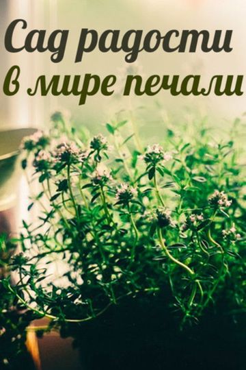 A Garden of Joy in a World of Sorrow