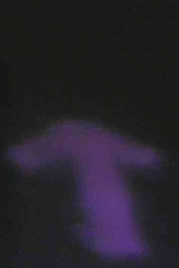 Light Vibe Pixie Poster