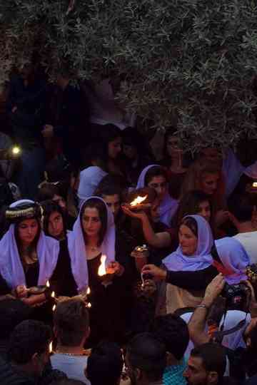 Following the Peacock Poster